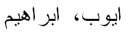 שם מלא בשפה נוספת