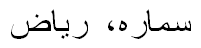 שם מלא בשפה נוספת