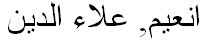 שם מלא בשפה נוספת
