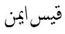 שם מלא בשפה נוספת
