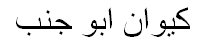 שם מלא בשפה נוספת